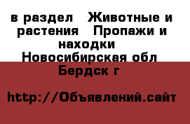  в раздел : Животные и растения » Пропажи и находки . Новосибирская обл.,Бердск г.